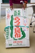 世界自然遺産「知床」でクジラやイルカに会える「ネイチャークルーズ」や「羅臼昆布」のヒレ刈り体験で海の恵みに感動しよう！ 【北海道・羅臼町】の画像012