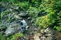 【登山】 “夏と秋、雨と晴れの狭間で揺れ動く景色” ワンチャンあるか！？ 「浅草岳」へ　新潟県魚沼市｜2026年の画像005