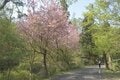 【駅から登る絶景低山】川端康成・井上靖・東山魁夷も称賛した山頂からの展望「長峰山」＆桜の名所「光城山」縦走ハイキング【長野県安曇野市】の画像006