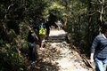 【島旅・シー・トゥ・サミット】「宮島・弥山の登山ルート」広島で青もみじの山＋海の幸＋観光＝「大人の修学旅行！」 2022年・広島県・厳島の画像020