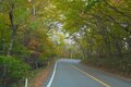 いま見頃の彩り鮮やかな空中散歩！  鬼怒川温泉と塩原温泉を結ぶ「日塩もみじライン」でめぐる紅葉のドライブ＆ハイキング【栃木県・2024年】の画像001