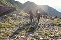 【そこにある危機「山岳遭難」のリアル！】 2021年7月「北岳、滑落が多発」の画像001