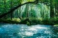 本州で釣れるのは日光・湯川だけ！「フライフィッシングの聖地」で狙うブルックトラウトの画像004