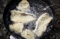 自分で釣ったらなんでもおいしいはウソ！？「川魚が一番おいしく食べられそうな調理法」を試してみましたの画像001