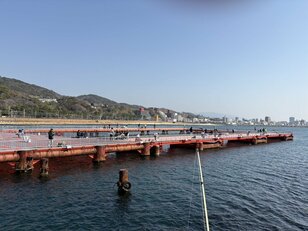3月「初夏並みの陽気」で今度は釣れるよね？  ビギナー最適・海づり公園で「惨敗デビュー」飾った初心者のリベンジ釣行！  便利すぎる「AI予習」で挑んだ結果…