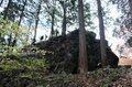 ”紅葉シーズン最終盤” お見逃しなく！「御岳山」の紅葉事情＆スポット最新レポートの画像005