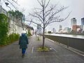「すごい。フルコースじゃないか！」食いしん坊のイタリア人がイチバン感激した「なんてことない定食」とは！？【ブーツの国の街角で vol.23「年の瀬ニッポン再発見の旅！」】の画像009