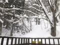 雪見風呂も最高！「秋田県・乳頭温泉郷」7軒を回れる「有効期限1年」おトクすぎる「湯めぐり帖」の画像003