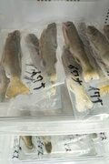 【のりくら温泉郷】日常を離れて非日常を味わう“リトリート旅”  北アルプスから贈られた癒しのプレゼント「3つの源泉」と「名物地元料理」（長野県松本市）の画像012