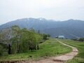 【苗場プリンスホテル】初夏の苗場で山からの贅沢な贈り物「根曲がり竹」を採ってきた！  竹藪の中を分け入る「非日常体験」レポ（新潟県湯沢町）の画像009
