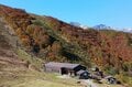 【2024年10月 第4週】今週末の紅葉の見ごろは？  名所＆人気スポットの最新情報をお届け「WEEKLY紅葉ニュース」の画像009