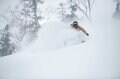 【つがいけマウンテンリゾート】栂池に降る極上の雪「TSUGA POW」に魅了されること確実！ 白馬エリア随一のビッグゲレンデの画像002