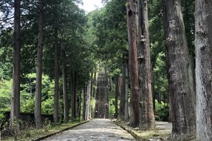 オンライン予約可で空調やWi-Fi完備「快適すぎる」山梨県・覚林坊での「宿坊」お泊りと心と体を整える身延山久遠寺「朝のお勤め」実体験レポート