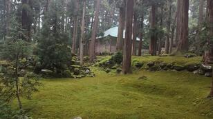 リアル『もののけ姫』の幽玄ぶり！  神秘の雰囲気に包まれた「苔の聖地」福井県・平泉寺白山神社の「驚異の光景」