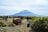 休み休みでも… 絶景の「富士山＆本栖湖」エネルギーに「竜ヶ岳」登頂！ 記載コースタイム2時間「石仏ルート」親子ハイキングでの結果とは！？の画像004
