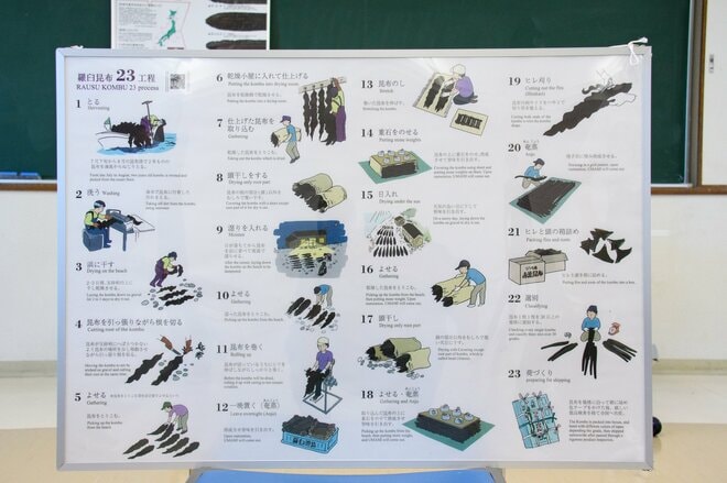 世界自然遺産「知床」でクジラやイルカに会える「ネイチャークルーズ」や「羅臼昆布」のヒレ刈り体験で海の恵みに感動しよう！ 【北海道・羅臼町】の画像011