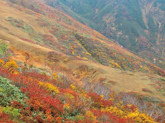 【富士山の次に登る山 vol.4】登山の魅力はムゲン大「山頂部に池塘が広がる山」 苗場山・平ヶ岳・朝日岳・飯豊連峰の画像008