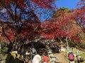 やってはいけない！ 秋の登山での「3つのNG行動」夏山との違い「NO警戒」で高まるリスクとは！？の画像003