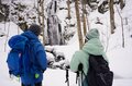 【奥入瀬渓流ホテル by 星野リゾート】苔むす渓流は冬、雪と氷に覆われ静謐な時が流れる ～氷瀑の迫力と冬が創る氷の芸術は寒さを忘れる美しさ～の画像036