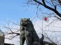 「いくたまさん “平” 4回連続の奇跡」には続きがあった！  2023－2024、生國魂神社で起きたミラクルを全部話そう【関西おみくじジャーニーvol.29「生國魂神社」大阪市天王寺区】の画像003
