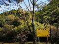 「巨大風車の傍らをゆく」山口県・下関市の「林道白滝線」の絶景！  オンロードバイクでも安心して走れる「舗装林道」実走レポート！の画像005