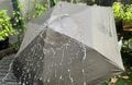 【男子日傘】大人気！ 雨も街でもOKの「WAQ フィールドアンブレラ」 アウトドアブランドの品質と機能＆デザイン性が日常でも使いやすい！の画像004