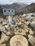早春に咲くフクジュソウ群落を求めて！ 花の百名山　藤原岳〈三重県・滋賀県〉の画像008