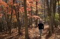 【登山口からハイライト】「アップダウンほとんどなし！」 山梨県の東端・大マテイ山の紅葉は今が見頃の画像010