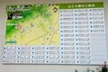 シャインマスカットや巨峰をキャンプで味わう贅沢！「大平ぶどう団地」現地4年通いライターの「注目スポット」＆「3つのメリット」レポート【栃木県栃木市大平町】の画像003