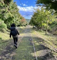 頂上を目指すのだけが登山の楽しみ方じゃない！？  週末気軽な山歩きで自然を味わう「フラット登山」へ行ってみよう！【前編】