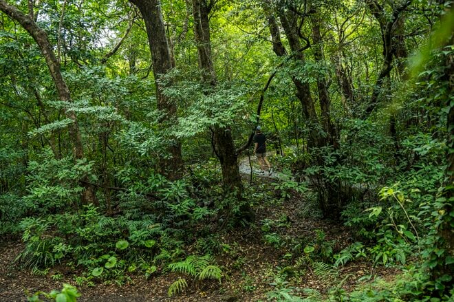 【鹿児島県】憧れのフラットシャロー！  フライフィッシングと昆虫観察、トレッキングを満喫した「奄美大島」トリップ   2025年の画像001
