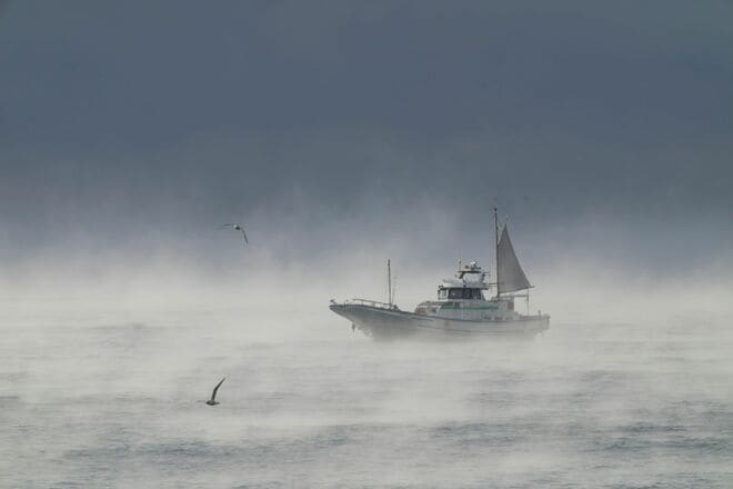 【バードウォッチング】「早春は恋の季節」日本最速飛行術を誇るハヤブサの “ラブラブ断崖ライフ” を拝見してきました！  神奈川県｜2026年の画像001