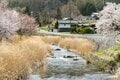 【渓流釣り】「桜の下のアマゴはほんのりピンク色」春の里川でお花見フィッシング！ 長野県・天竜川支流 2023年の画像001