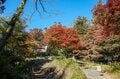 一度は行きたい！  紅葉シーズンの「高尾山」見ごろ＆混雑ピーク「11月攻略」には「早朝ハイキング」が最適！  絶景満喫レポの画像004