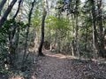 日本百名山「筑波山」まで眺望OK！  絶景の東京低山「長淵山ハイキングコース」 標高409ｍ赤ぼっこ・天狗岩レポート！の画像001