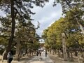 キターッ 大福！ 「福男」ダッシュ神事で有名な西宮神社で「大吉の上」をひく！【関西おみくじジャーニー vol.24／兵庫県西宮市】の画像001