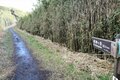 富士の絶景まで1時間！「金時山」登山の最短ルート「金時見晴パーキング」から“天下の秀峰”の山頂へ〈登頂レポ〉【神奈川県・南足柄市】の画像009