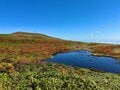 東北の紅葉なら一番おすすめしたい「焼石岳」で出会った錦秋の絶景【日本で山登りはじめました vol.9】の画像003