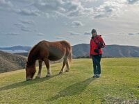 五感で感じる旅「隠岐ユネスコ世界ジオパーク・西ノ島」【隠岐島をまるごと楽しむ旅 vol.1】＜島根県＞