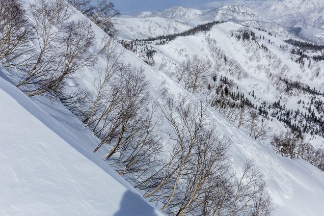 多発する「バックカントリー」での事故！ 「コース外滑走とは違う」 “雪崩”だけじゃないリスク【2023スノーシーズン】の画像002