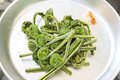 【山菜採り】まるで宝探し！ 初心者から楽しめる春の味「コゴミ」 〈長野県〉の画像009