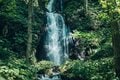 涼を求めて奥入瀬へ！ “サイクリングと渓流散策”  苔むす奥入瀬を五感で感じて癒される「奥入瀬渓流ホテル by 星野リゾート」【青森県・十和田市】の画像022