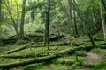 【幻の古道が復活するかも！？】人気百名山・金峰山へと続く古の参詣道「御嶽道」って知ってる？の画像001