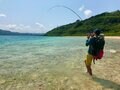 野生食材採集のルールと知識の身につけ方【無人地帯の遊び方 vol.5】の画像001