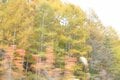 「八ヶ岳×紅葉×秘湯×高原グルメ」の贅沢プラン！  11月の ”おすすめドライブコース国道141号線” が紅葉の最盛期の画像008