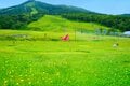 長野と新潟にまたがる避暑地「斑尾高原」は遊びがいっぱい！「ジップライン」で風切る気持ちよさは“標高の高さ”がもたらすプレゼント！の画像005