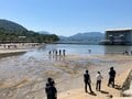 【島旅・シー・トゥ・サミット】「宮島・弥山の登山ルート」広島で青もみじの山＋海の幸＋観光＝「大人の修学旅行！」 2022年・広島県・厳島の画像023