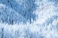 【雪山登山】冬の硫黄岳！ 白い世界とのコントラスト！ 圧巻の八ヶ岳ブルーと迫力のスノーモンスター〈長野県〉の画像010