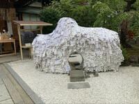 「京都最強」の縁切り神社「安井金比羅宮」とディープパワースポットを「徒歩半日」でめぐる「いろいろリセット」ツアー