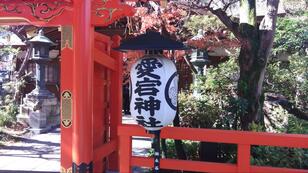 山手線内の“超”低山ハイキングは歴史＆面白ぎっしり！  東京23区内の最高と最低峰、日本最古の三角点、登山証明の発行も！  厳選3山「現地レポ」